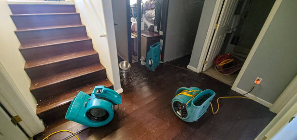 Best Water damage restoration near me  in Greenacres, FL