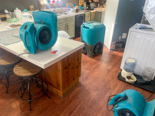 Best Carpet water damage restoration  in Greenacres, FL