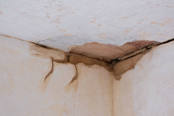 Best Fire Damage Restoration  in Greenacres, FL