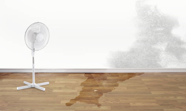 Best Ceiling water damage repair  in Greenacres, FL
