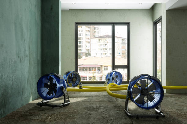 Best Ceiling water damage repair  in Greenacres, FL