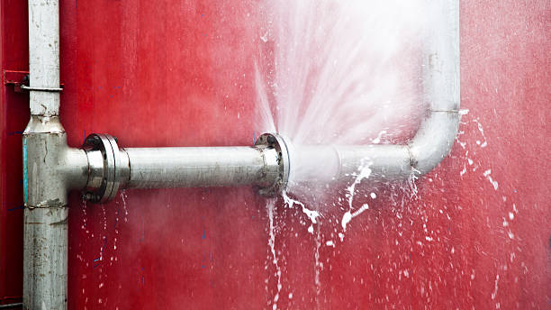 Best Mold removal after water damage  in Greenacres, FL