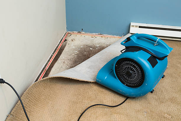 Best Water damage cleanup near me  in Greenacres, FL